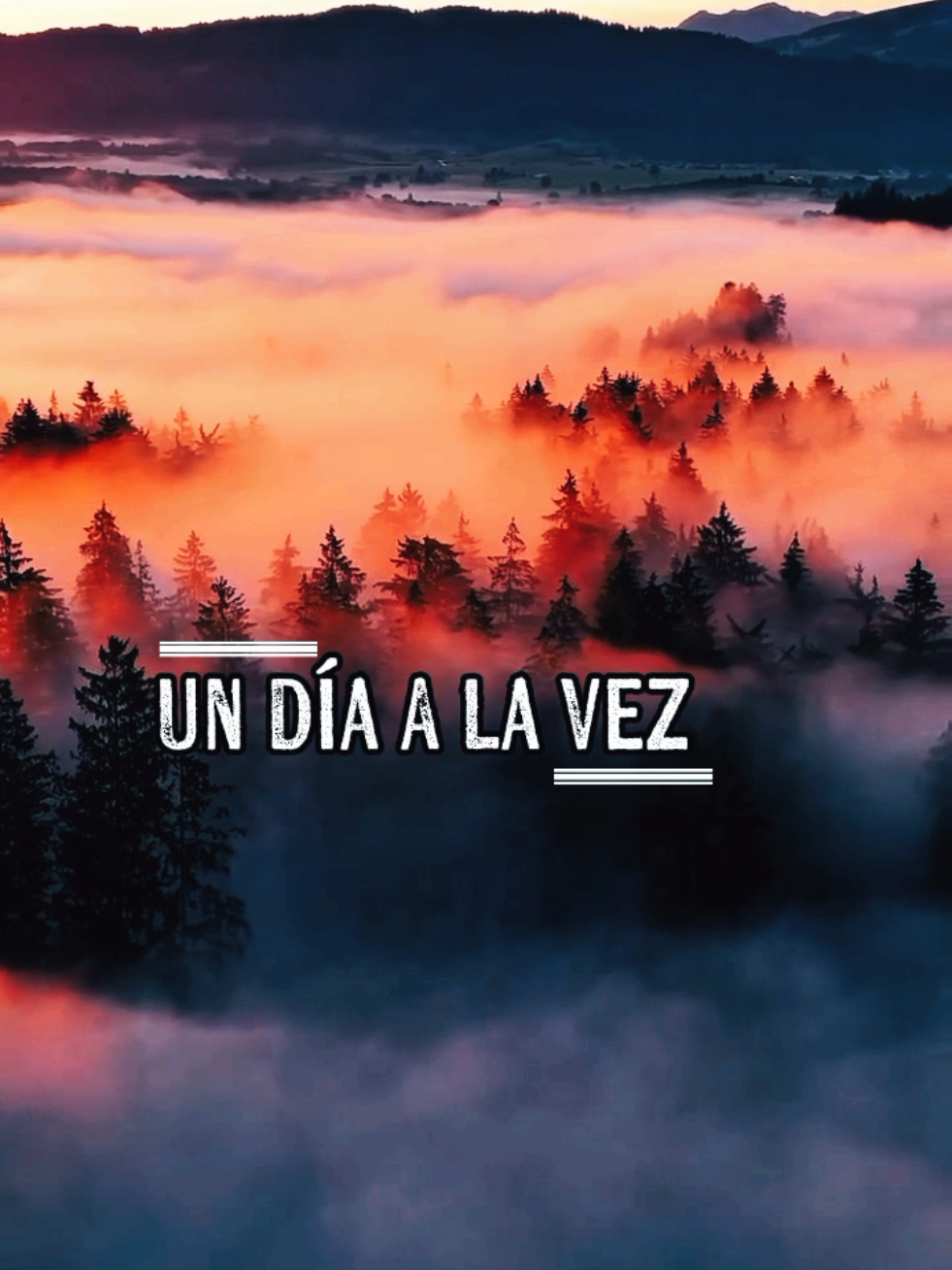 UN DÍA A LA VEZ - Veronica Leal