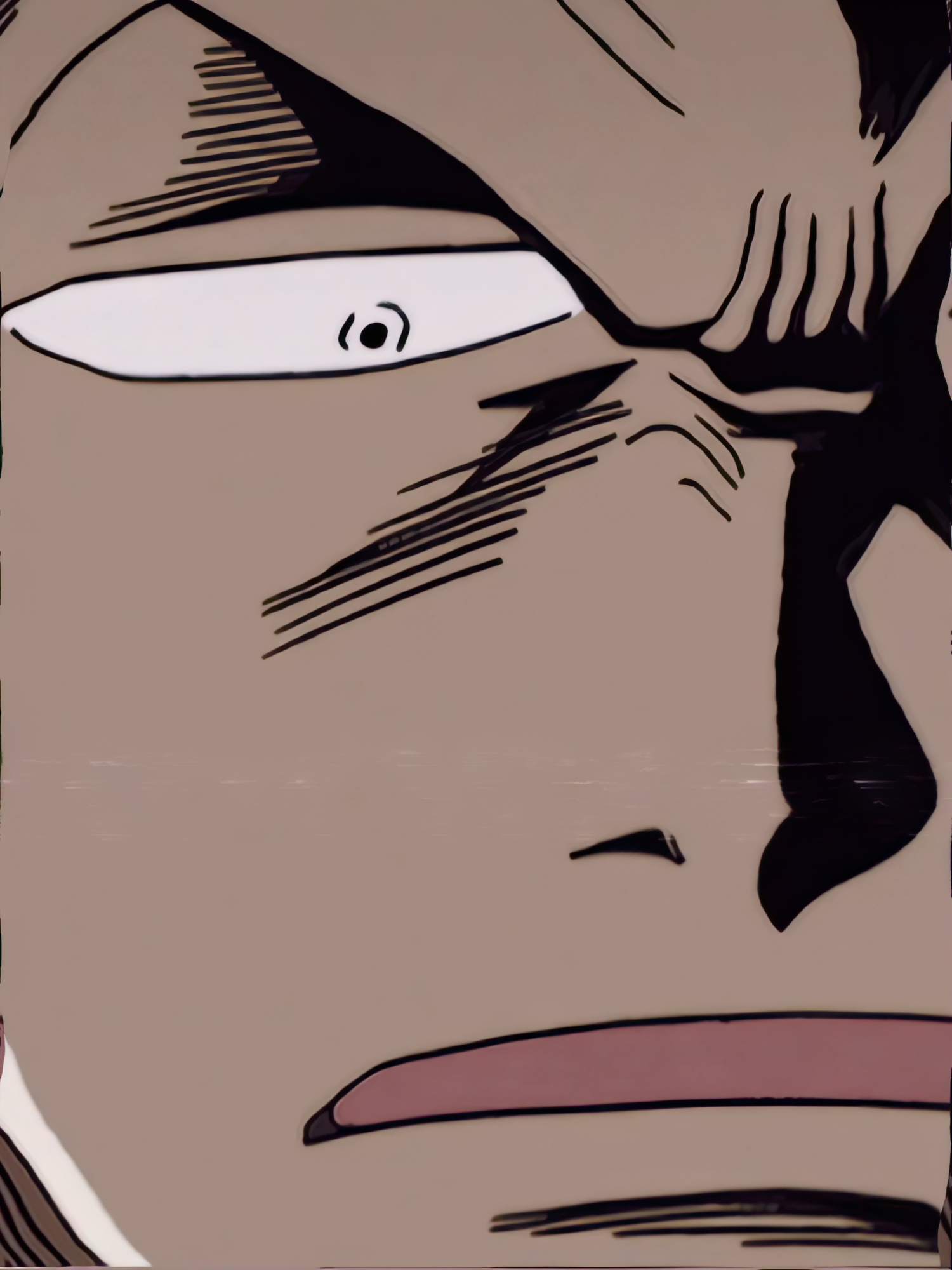 #zoro #marimo #sword #swordsman #sanji #onepiece #anime #edit