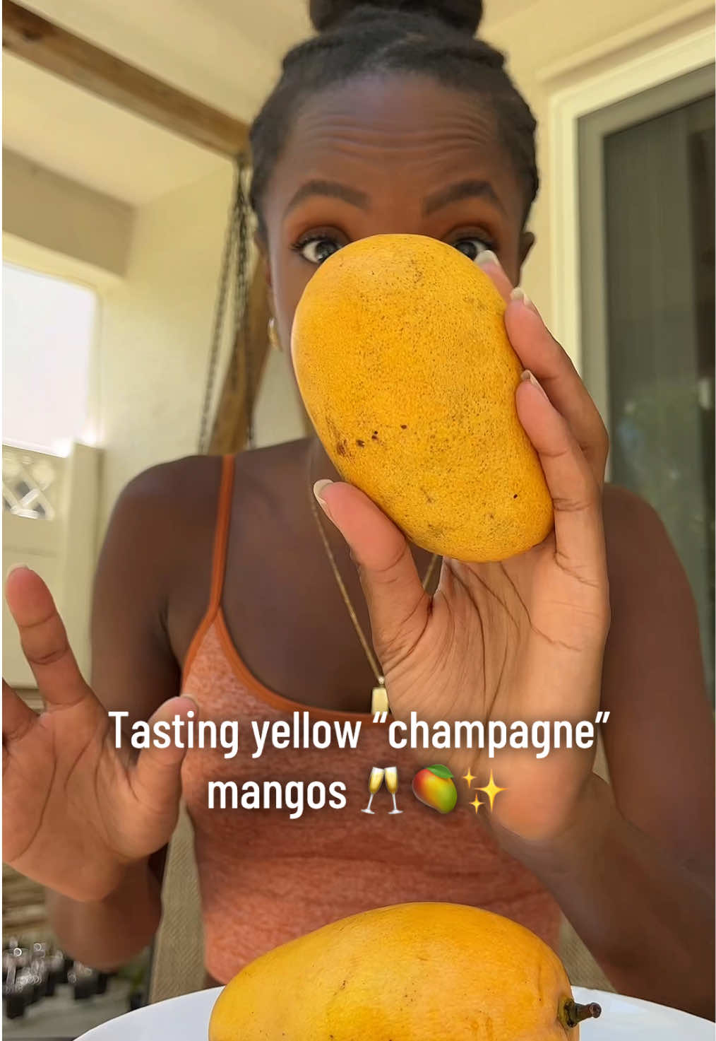 These yellow mangoes are sooo good!! Great start to mango season 😄 I’m 1000% growing this seed hahah 🥭🌳 #exoticfruit #fruitlover #tastetest #FoodTok #tropicalfruits #Foodie 