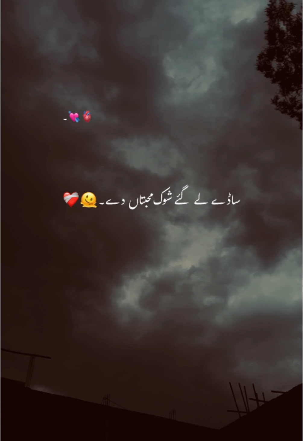 ہائے ،🥹❤️‍🩹 #foryoupage #foryou #viralvideo #growmyaccount #aestheticvideos #aesthetic #poetry #urdupoetry #statusvideo #hehe_daniii #fyp 
