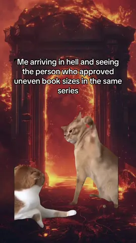 #CapCut #booktokmeme #BookTok #bookmemes #bookobsessed #booktokfyp #books 
