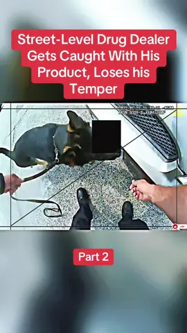 Part 2 : Street-Level Drug Dealer Gets Caught With His Product, Loses his Temper #cops #copsoftiktok #police #policeofficer #bodycam #crime #truecrime #truestory #foryou #fyp 