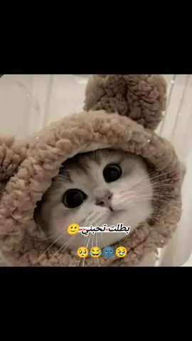 #الشعب_الصيني_ماله_حل😂😂 #هاشتاقات_تيك_توك_العرب 