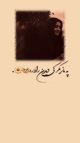په مـازیـګر کی دیـدن راوړه🕊️💔. #❤️ #________________________________ #🦅🥴💛✨ #foryoupage #fypシ゚viral🖤tiktok☆♡🦋myvideo #videoviral 