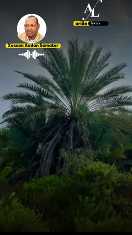 xassan aadan samatar  #oldisgold #ariilelyrics #oldisgold #following #qaramisomali #viral_video 