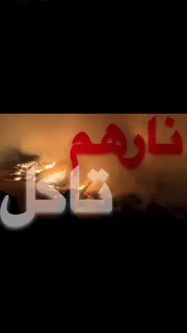لايحن قلبي عليهم 👋🏻😞. #اكسبلور #اغاني_مسرعه💥 #اغاني_عراقيه #fyp 