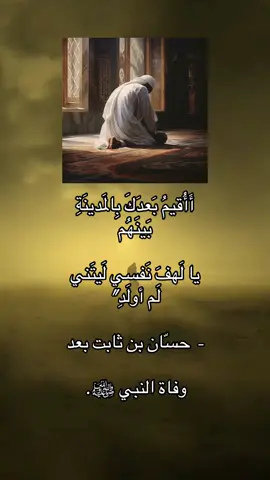 أَأُقيمُ بَعدَكَ بِالمَدينَةِ بَينَهُم ‏يا لَهفَ نَفسي لَيتَني لَم أولَدِ