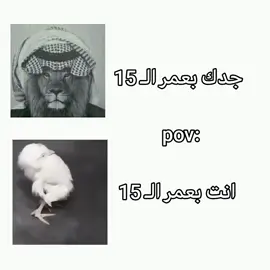 ححقيقييي .  .  .  #fyp #foryou #foryou #viral #4u #explore #typ #quran 