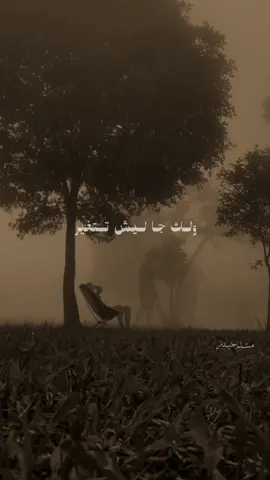 مالك الباوي  #مالك_الباوي #شعر #شعراء_وذواقين_الشعر_الشعبي #شعروقصايد #مسلم_حيدر 