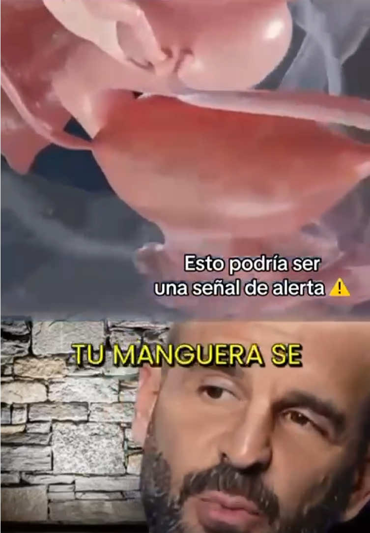 #hombres #fyp #confianza #alphabites 