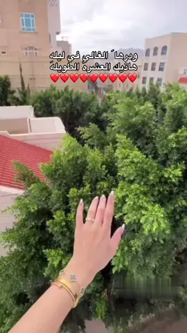#البيضاء_ليبيا #بنغازي #libya🇱🇾 #pyppppppppppppp #الشعب_الصيني_ماله_حل😂😂 #جامعه_عمر_المختار_البيضاء #جامعه_عمر_المختار_كلية_الزراعه 