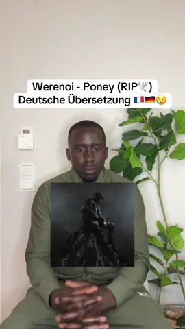 Werenoi- Poney 🇩🇪🇫🇷, deutsche Übersetzung #werenoi  #poney #raptok #french #rapfrancais #france #francetiktok #musictok #traduccion #übersetzung #lernenmitfineboy #fyp #französisch 