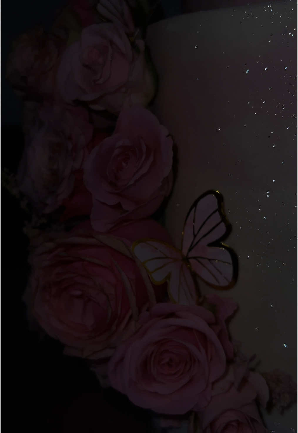 Taufe Torte in Zarte Ombré-Töne, echte Rosen, feine Schmetterlinge und ein Hauch von Glitzer – diese zweistöckige Torte war das Highlight zur Taufe von Ariana Marie #taufe #torten #explore #viralvideos #كيكات_شرين 