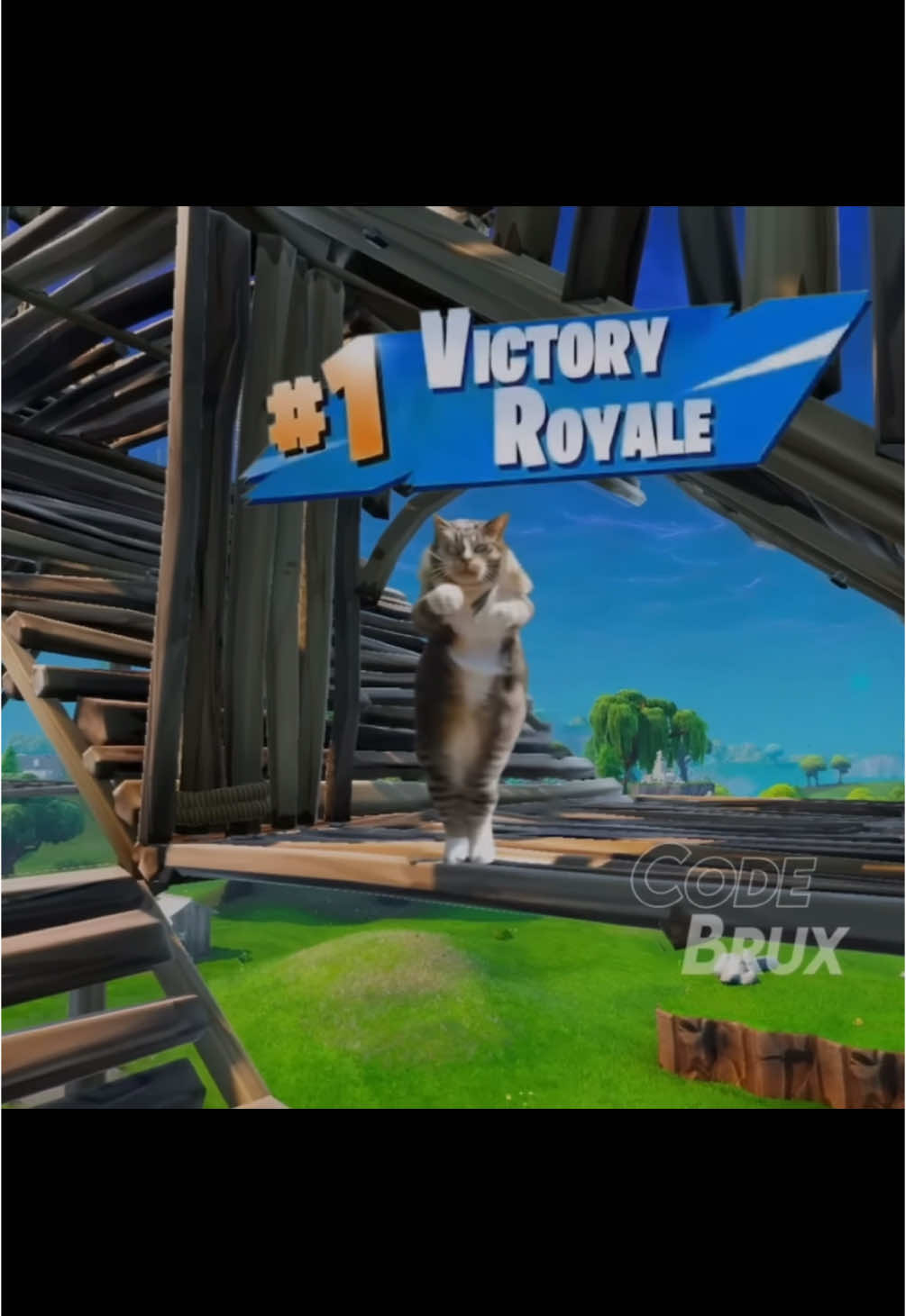 Brux actually taught his CAT how to play Fortnite..? ☠️ #brux #cat #clip #funny #fortnite #fyp #viralvideo 