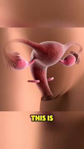 Cervical cancer starts silently — this 3D video could save a life #cervicaleCancer #HPV #3dhealth #WomensHealth #healthawarness #HealthFacts 