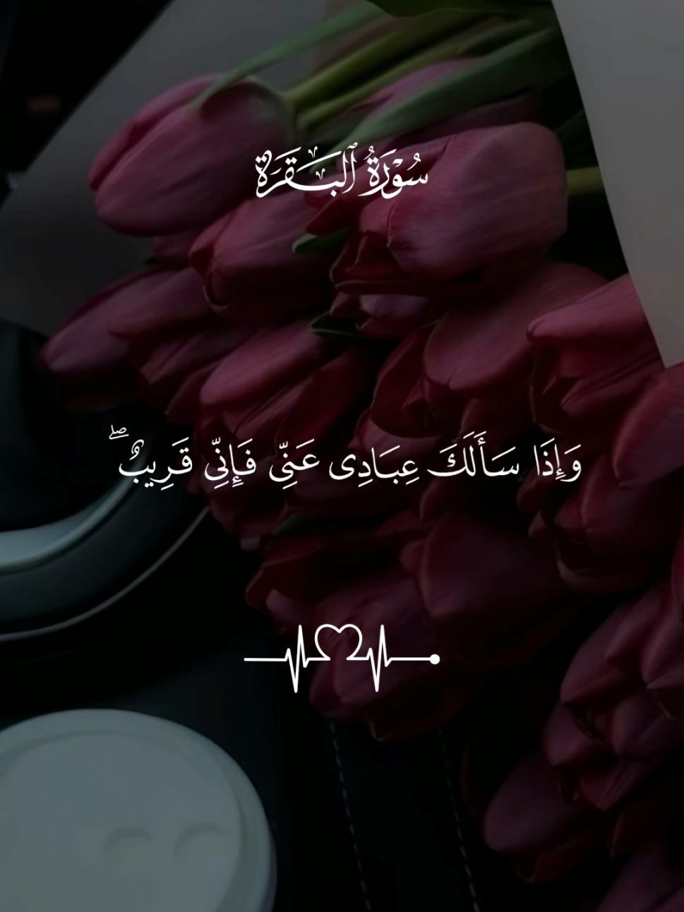 #راحة_نفسية #القران_الكريم  #اكتب_شي_توجر_عليه #قران #quran #qu_ran_n #القرآن #qu_ran_n؛؛قرآن #quran_alkarim #القران_الكريم #quran …﻿﻿﻿﻿﻿﻿﻿﻿﻿﻿﻿﻿﻿﻿﻿﻿﻿﻿﻿﻿﻿﻿﻿﻿﻿﻿﻿﻿ارح سمعك ♡#القرأن #قرأن_كريم #تلاوات #تلاوات_خاشعة #قلبي_اطمأن #ارح_سمعك_بالقران #القرأن_الكريم #راحه_نفسيه #قرأني_حياتي♡ 