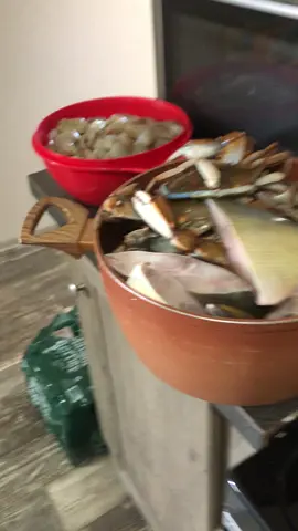 Caldo de pescado 