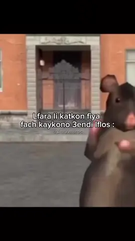 خوتي متنساوش ابوني راه كتعاوني بزااف❤🙏... دخلتو العالم الضحك ؟مرحبا بيكم، ديروا ابوني وما تندموشي!  نكت ، ميمز ، فديوهات مضحكة.  عندي كلشي !🤣🤣 #ضحك #نكت #كوميديا #ضحك_فابور #كوميديا_المغرب #comedyworld#fyp 