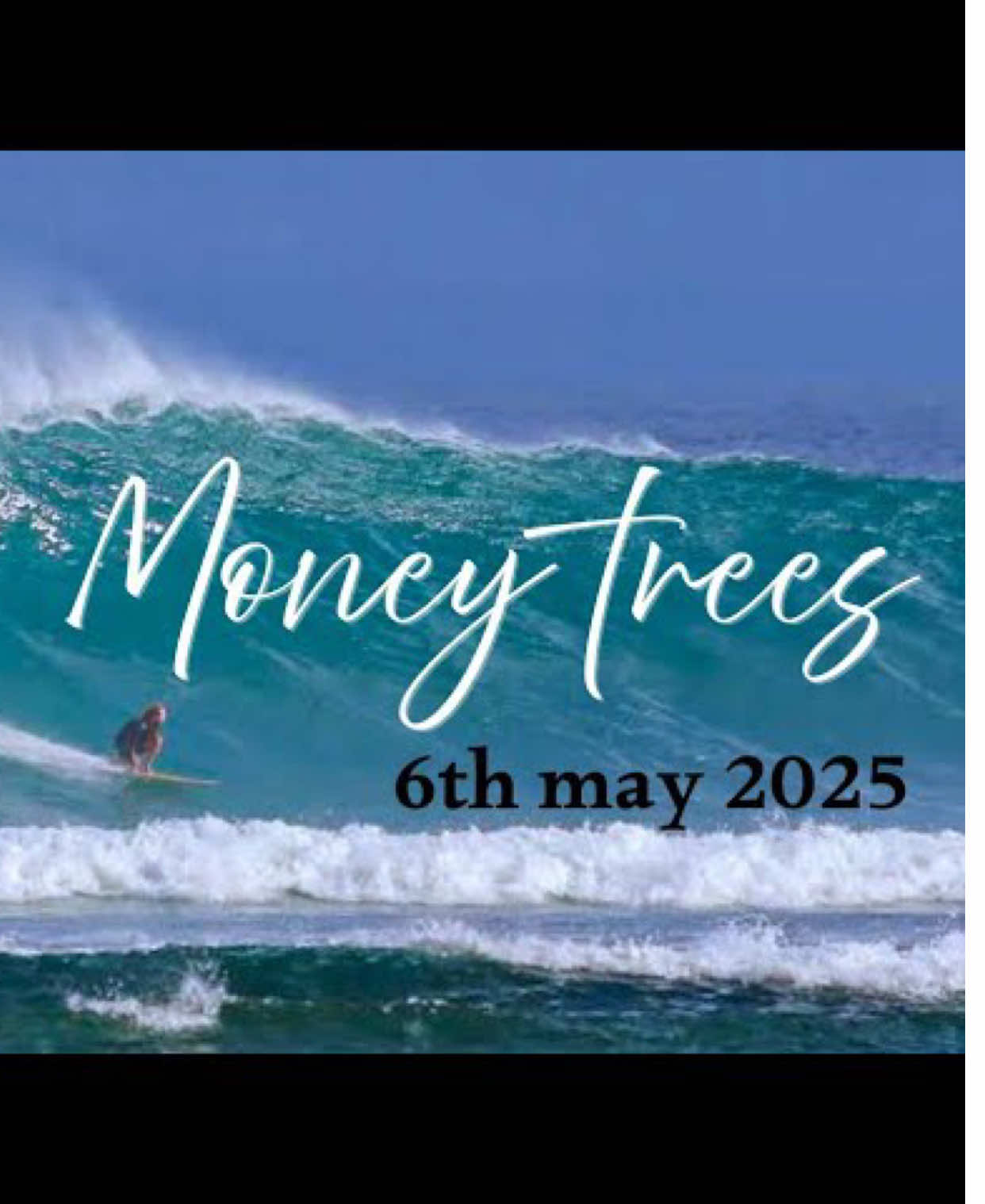 Gland 6th may 2025 | money trees | long surfing #surfing 