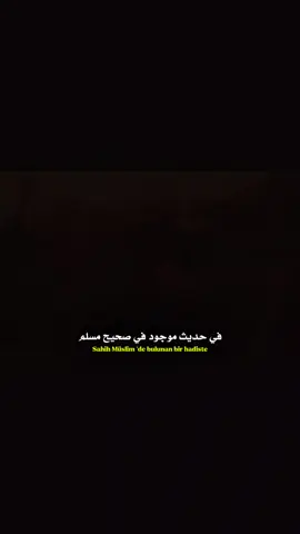 إكتب شيء تؤجر عليه 🤍🤍