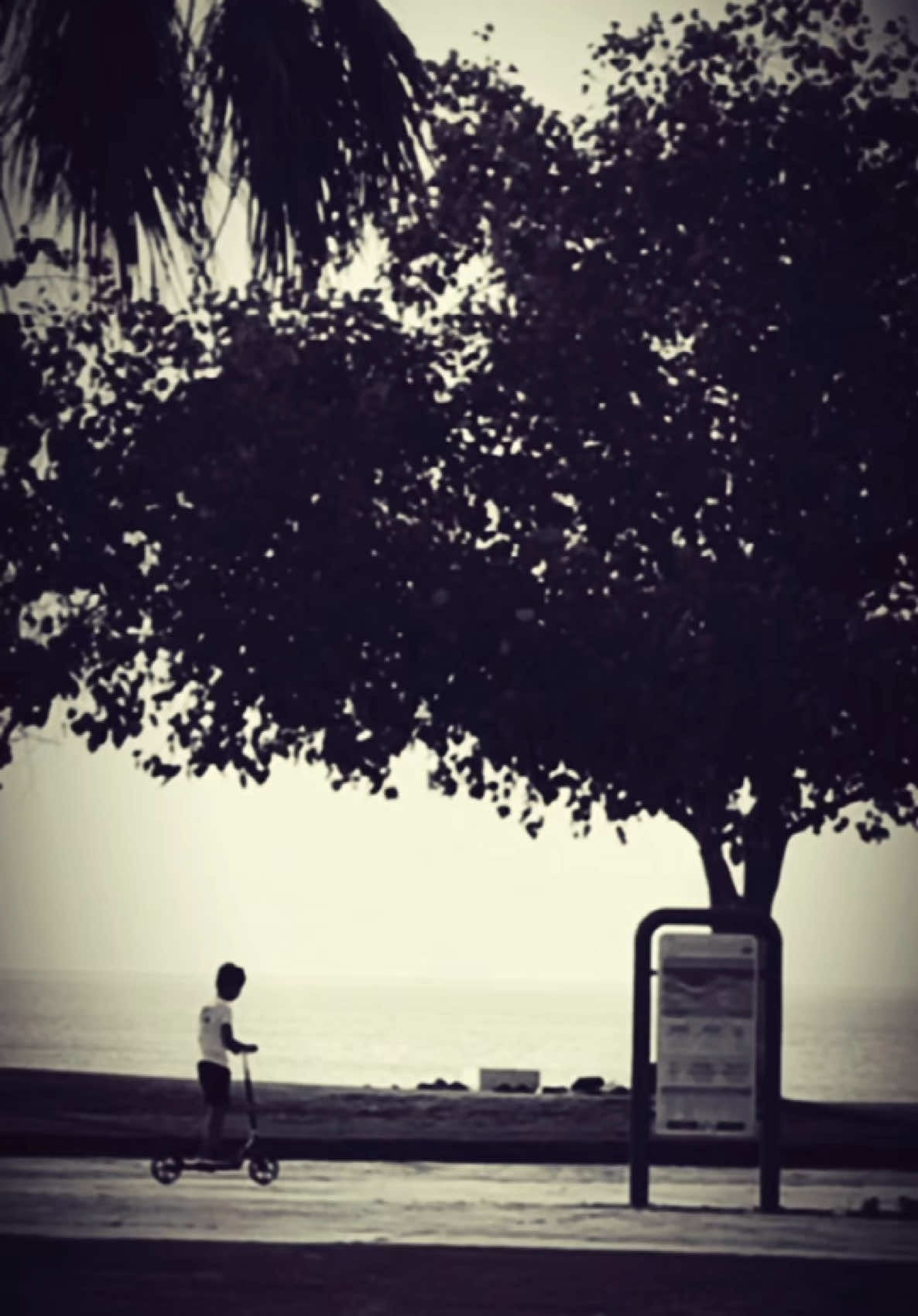 🎵🎞️📽️ لقطة من شاطئ دارين 📍 الجبيل الصناعية  ••••••••  •••••• #الجبيل_الصناعية #الجبيل #الجبيل_الصناعيه #الجبيل_الان #الجبيل_البلد #الشعب_الصيني_ماله_حل😂😂 #رأس_الخير #الهيئة_الملكية #سابك #الحويلات #الفناتير #aljubail #تصويري #مدينة_الاشباح #راشد_الماجد #خالد_عبدالرحمن #عبدالمجيد_عبدالله 