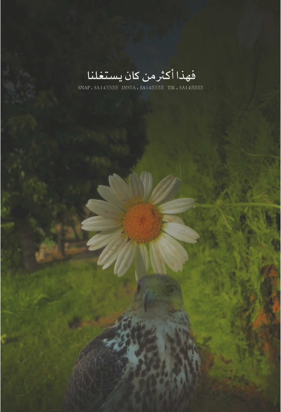 يصر على أننا تغيرنا من كان يستغلنا 👌🏼👌🏼
