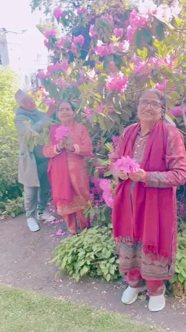 Kati ramro fula fuleko Hamlai ta hoina hajur krishna ji lai ho#loveyouall#lovemusic🎵🎶viral#enjoying#parents@Bhumakali Sapkota@Sasubuhari 