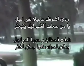#fyp #foryoupage #explore #foryou #نجد #شعر 