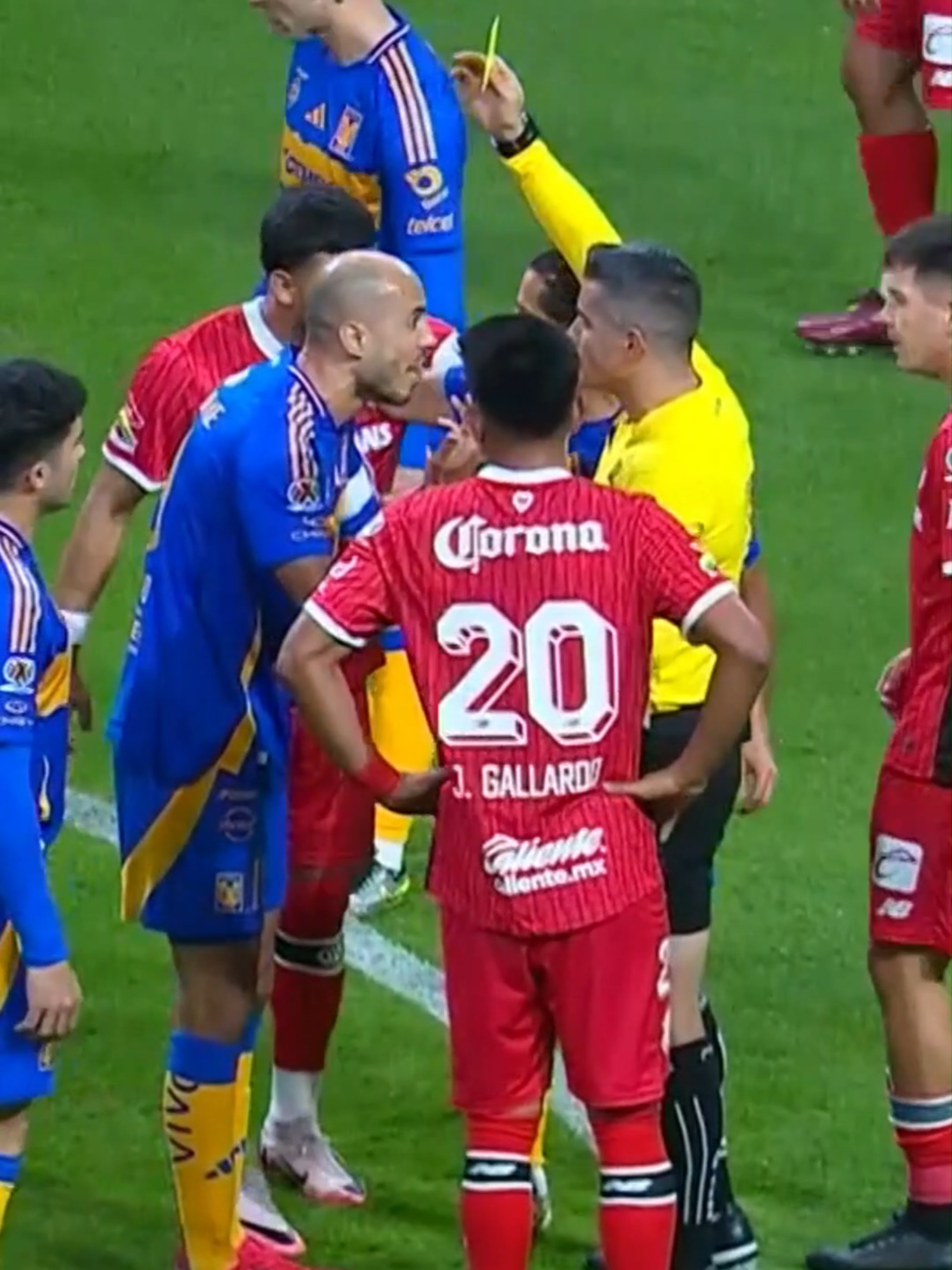 🤬 Guido Pizarro casi arma el traka traka en uno de sus últimos partidos como jugador 🔥🥊 😈 Toluca 🆚 Tigres 🐅 📆 ¡HOY! ⏰ 6:50PM 🇲🇽 | 8P/6C/4PAC 🇺🇸 📺 Canal 5 (TUDN y ViX) 🇲🇽 | Univisión, TUDN y ViX 🇺🇸 #ligamx #futbolmexicano #toluca #tigres