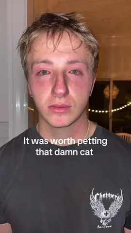 I love cats