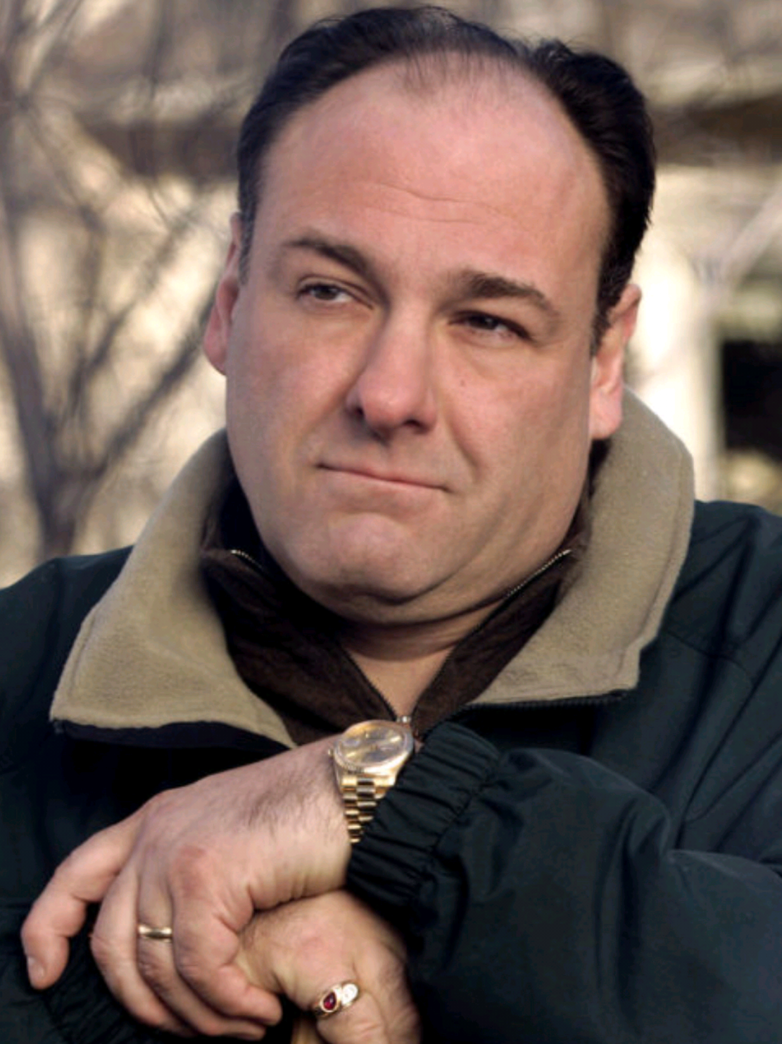 an Edit: ~1 second (0.7 seconds) of Tony Soprano from each Episode of 
