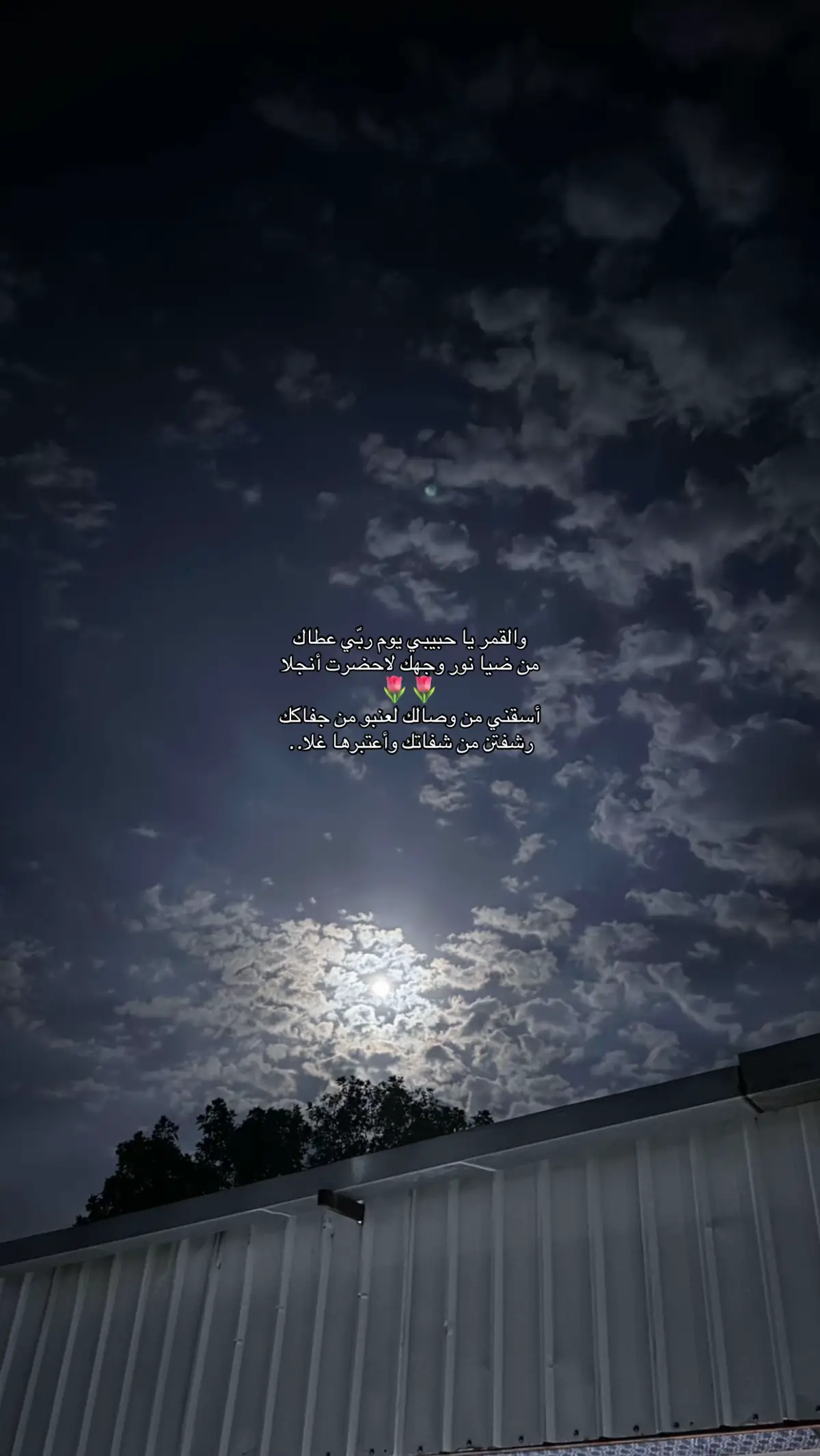 #قمر #اكسبلور #fyp #اكسبلورexplore