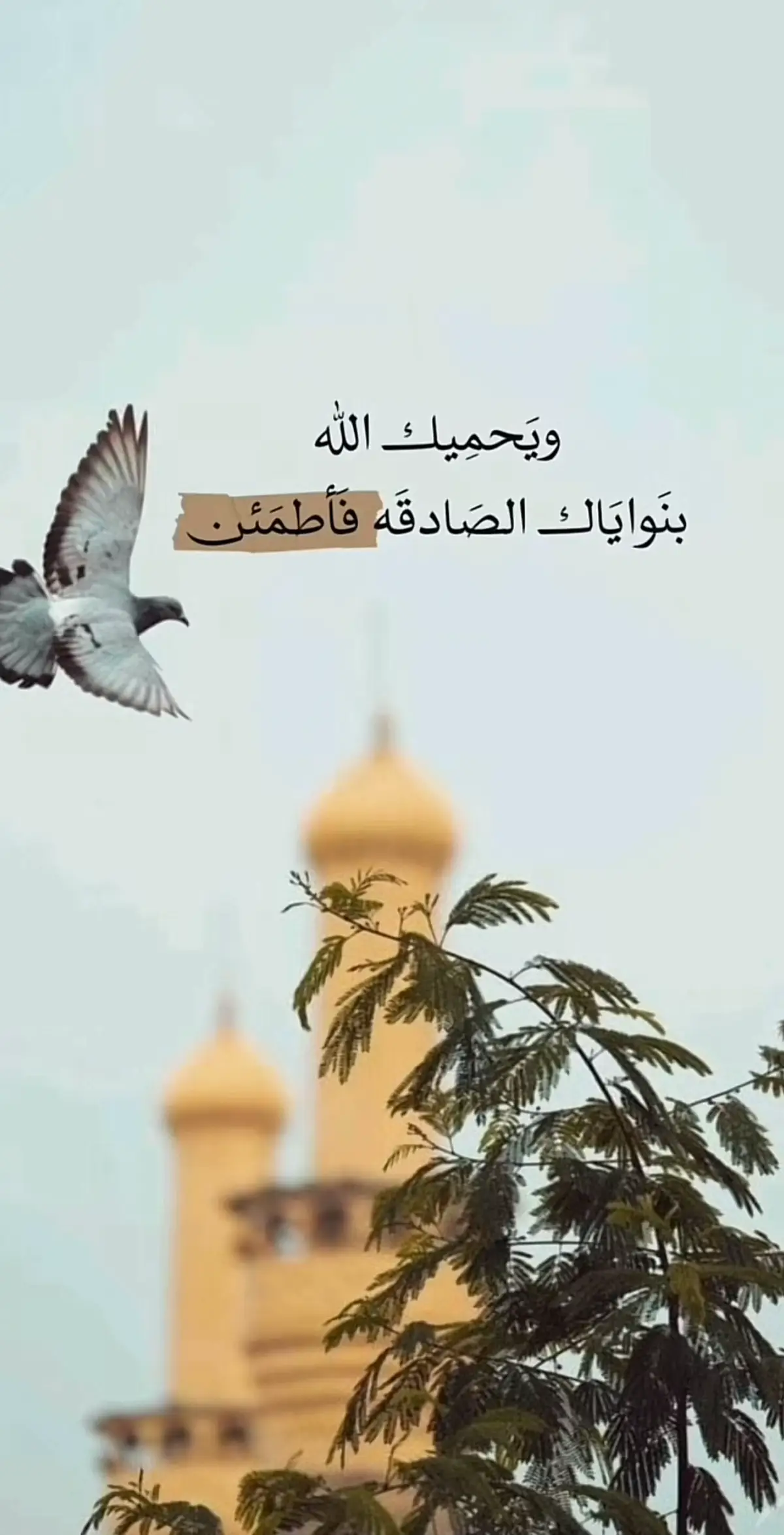 #الحمدلله_دائماً_وابداً #اكسبلورexplore #كلام_من_القلب 