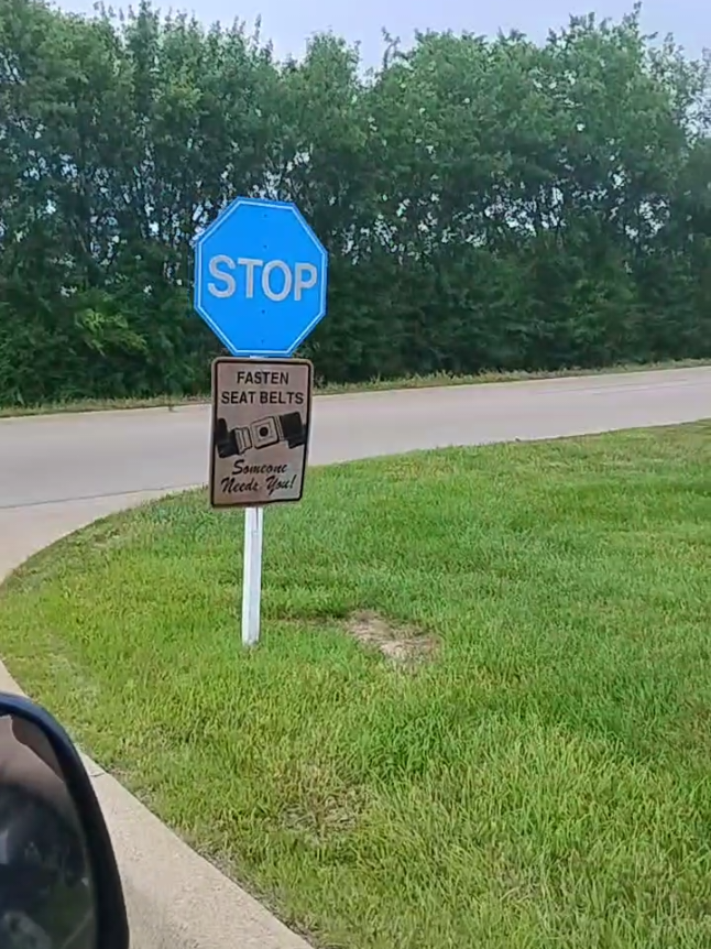 Why are you blue?! your supposed to be red?! #red #blue #havingfun #fyppppppppppppppppppppppp #fypシ゚viral #fyp #stopsign #whyareyoublue #bluestopsign #havingfunonmyown 