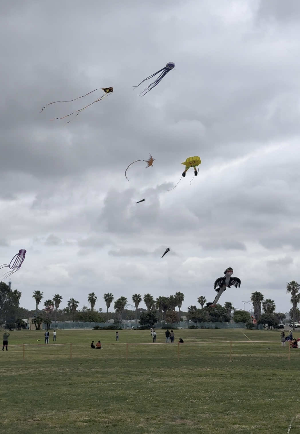 Just another day in San Diego ✨ enjoying the kite festival 🪁 #sandiego #fyp 