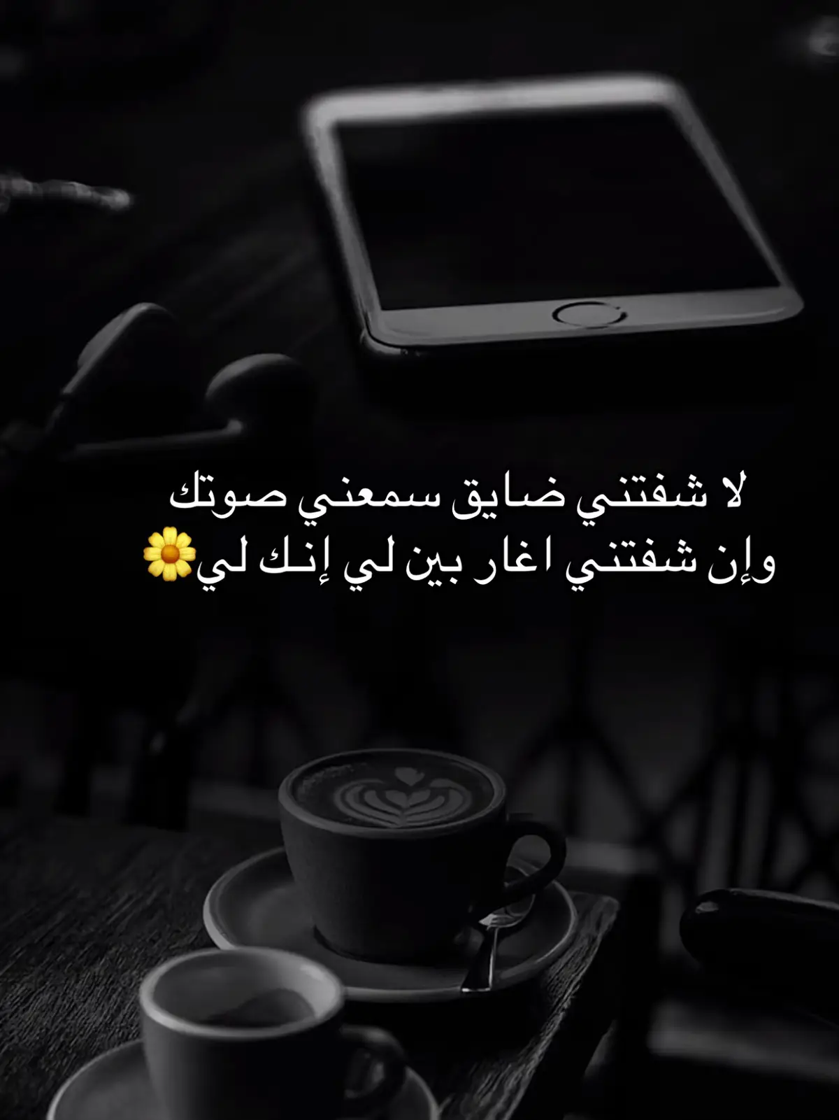 🩶🕊️