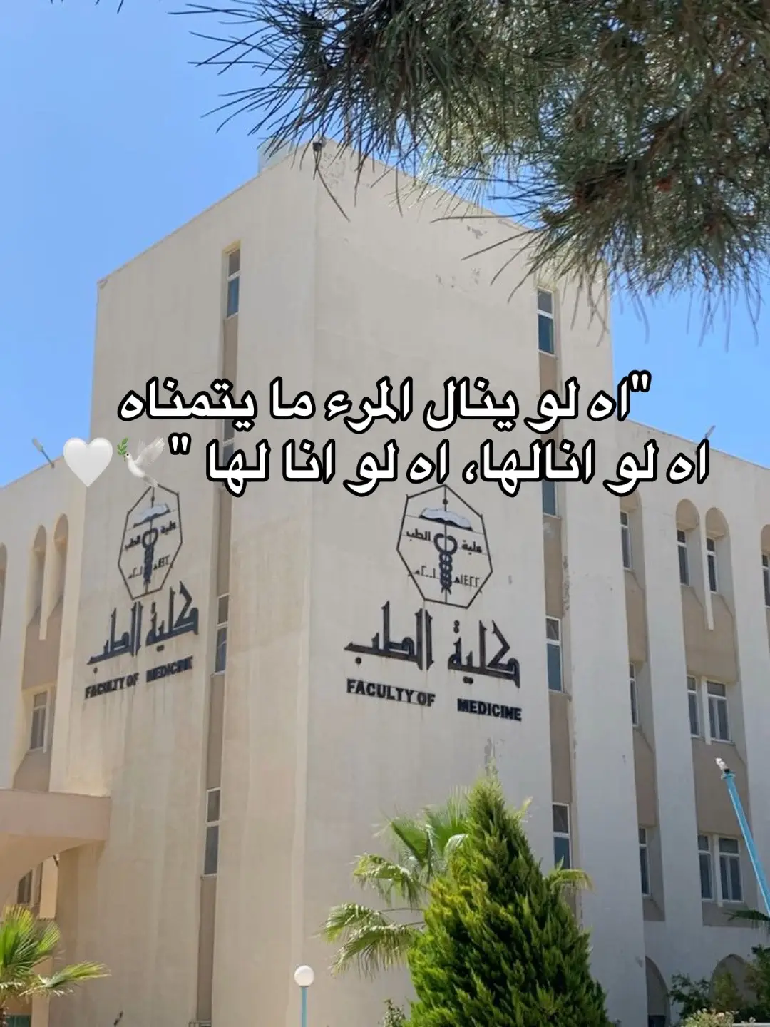 اه لو انا لها 😔#ذاكر #ثانوية_عامة #كلية_الطب #عافر #عافر_حلمك_يستاهل #انت_تقدر #انت_تستطيع 