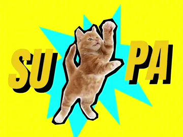 #cat #cats #supa #hoecakes #mfdoom #animation #tuff