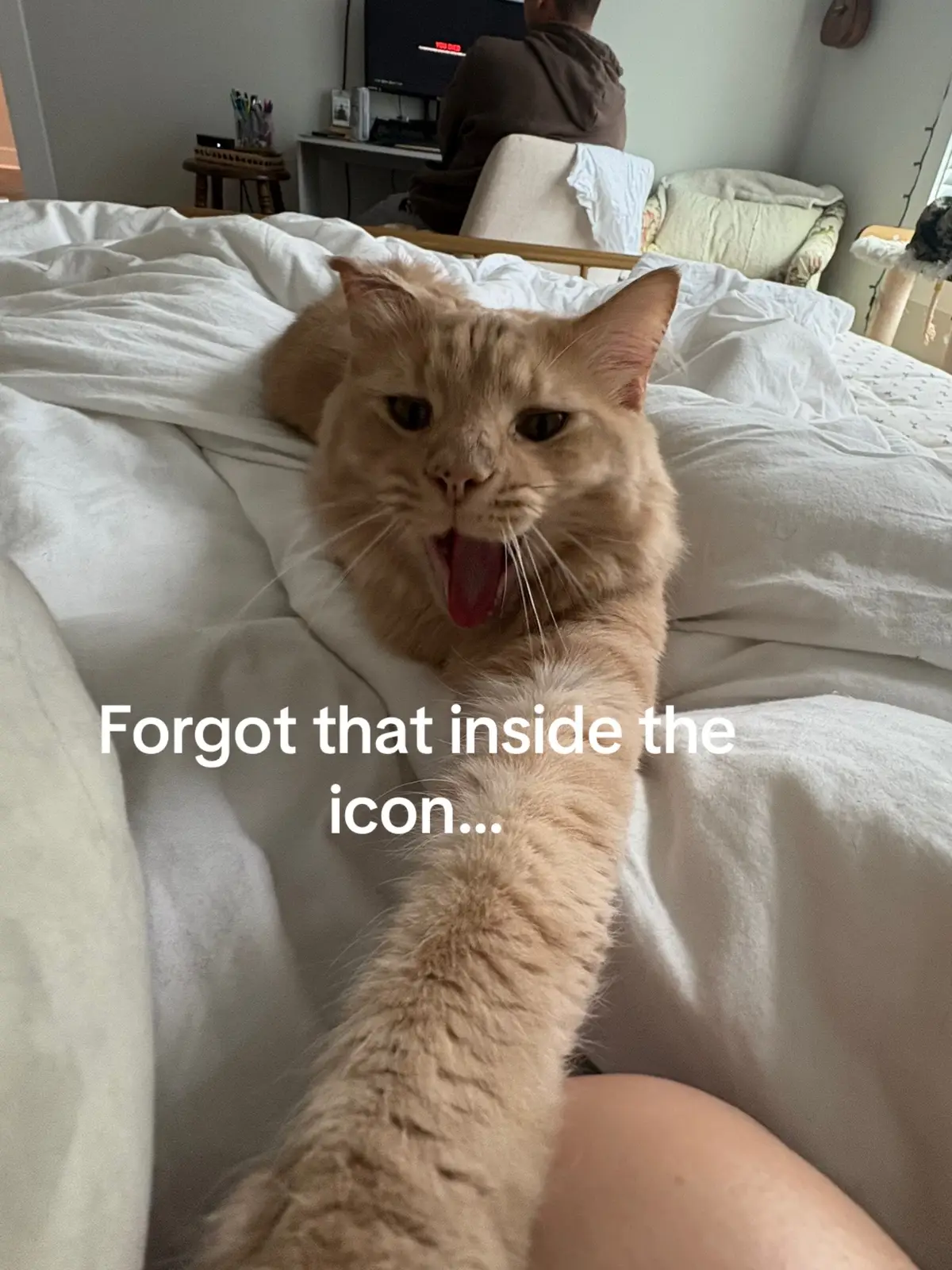 Crouton🫡 
