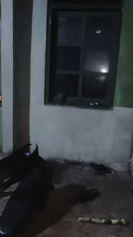#fyppppppppppppppppppppppp 