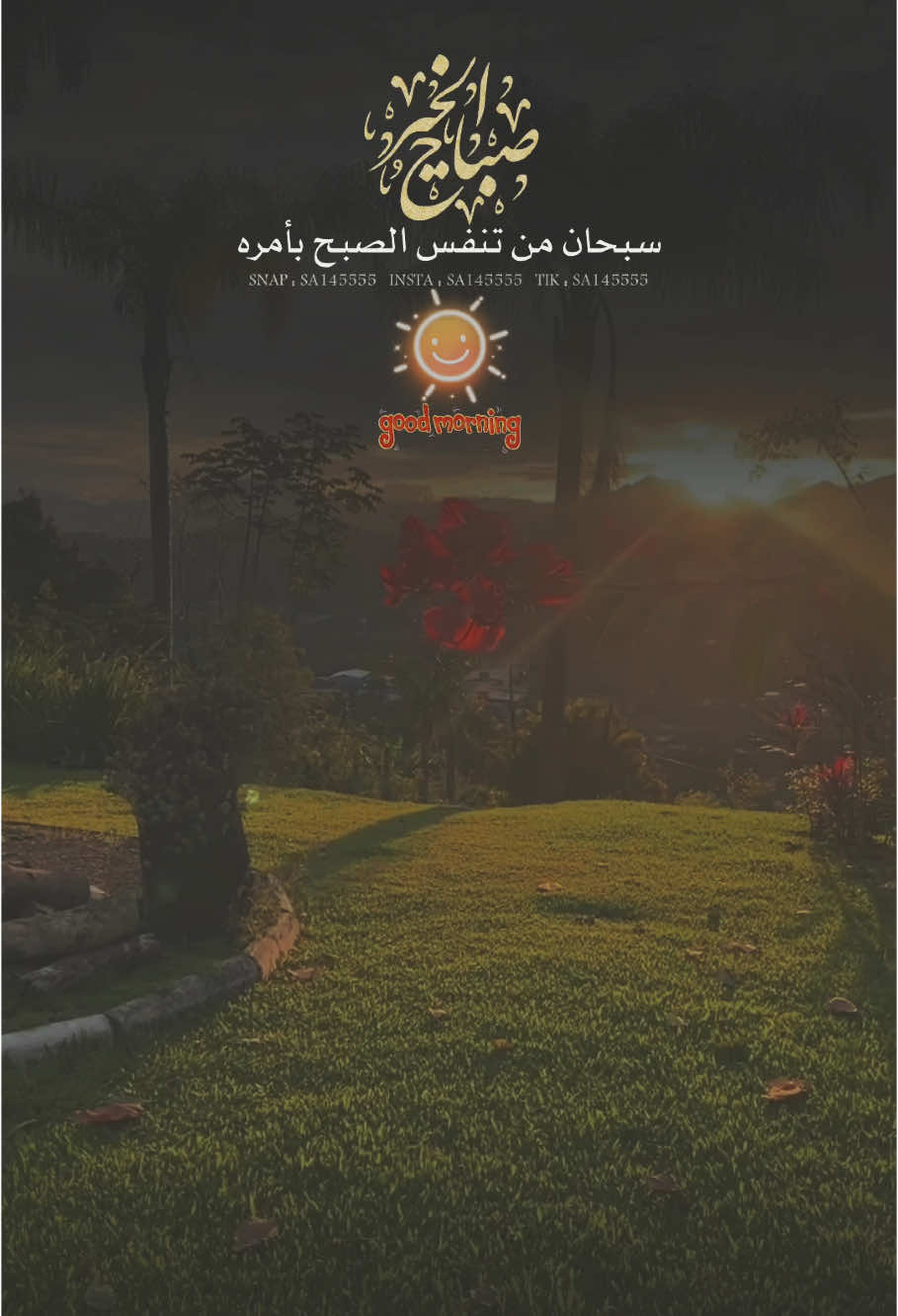 #صباح_الخير #صباحيات #صباحيات_جميلة 