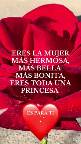 TE AMO ❤️