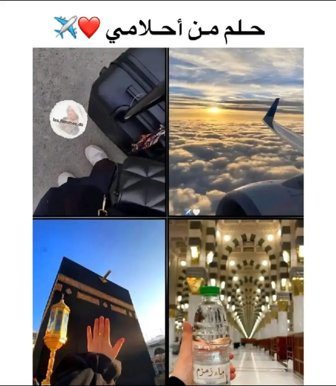 #حلمي #الكعبه_المشرفه🕋 #المدينة_المنورة #مكه_المكرمه #يارب❤️ #pov #🥺🥺 