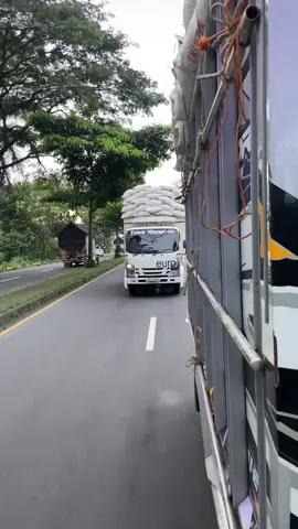 Bahan rasan”mu cah😛🤙🏻#mentahanvideo #mentahan #storytruck #storytruckmbois #fyp #sopirtruck #salatiga24jam #sodrekersindonesia 