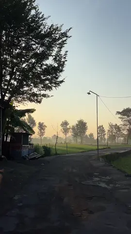 #jogja #sawah #suasanapagi #pagidijogja #morning #alam #nature 