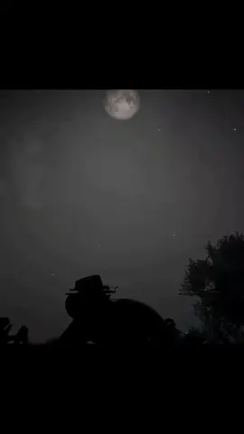 20:49 #rockstargames #vairal #games #fy #fyp #foryou #vaiprofycaramba #tiktokviral #rdr2 #reddeadredemption2 #edit 