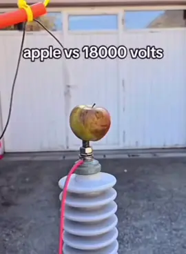 Wow, absolutely incredible. #apple #fyp #getajob #unemployed 