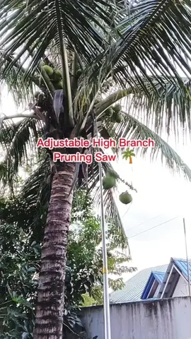 High Branch Pruning Saw:)❤️ #pruningsaw #tree #garden #gardening #panungkit #fyp #fypシ゚ #fypage 