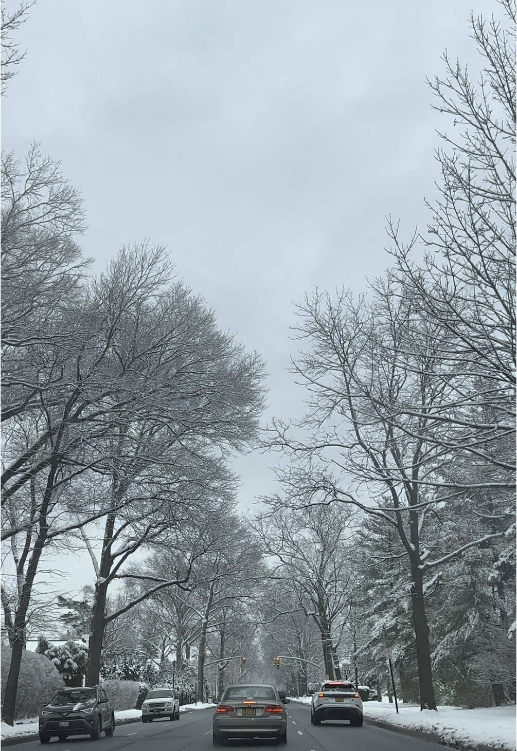 missing the snow just a little bit #snow #winter #fyp #foru 