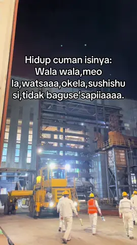 Watsaaaa#bahasacina#indonesia#china#kulipabrik#ptnninadesiconickelindustri#ptnni#ptgunbusternickelindustry#kpnfyp#fypkuli#tambang#bismillahfyp#lewatberanda#morowali_sulteng_bahodopi#imip_helmkuning#imipmorowali#babu 
